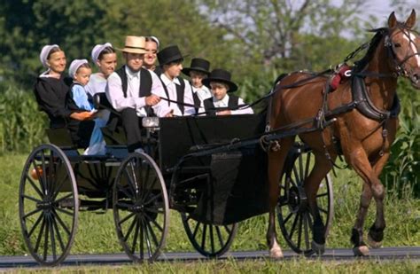 r amish|amish folk culture.